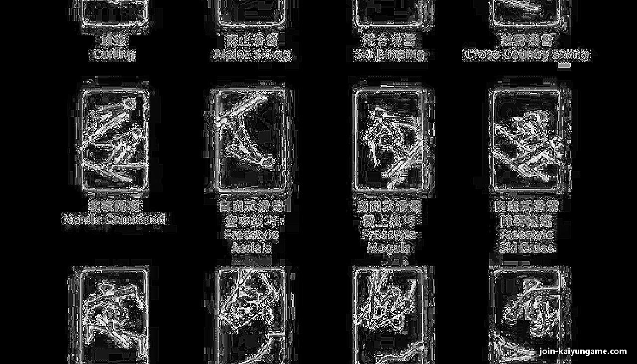 汗水浇灌梦想，坚持成就辉煌